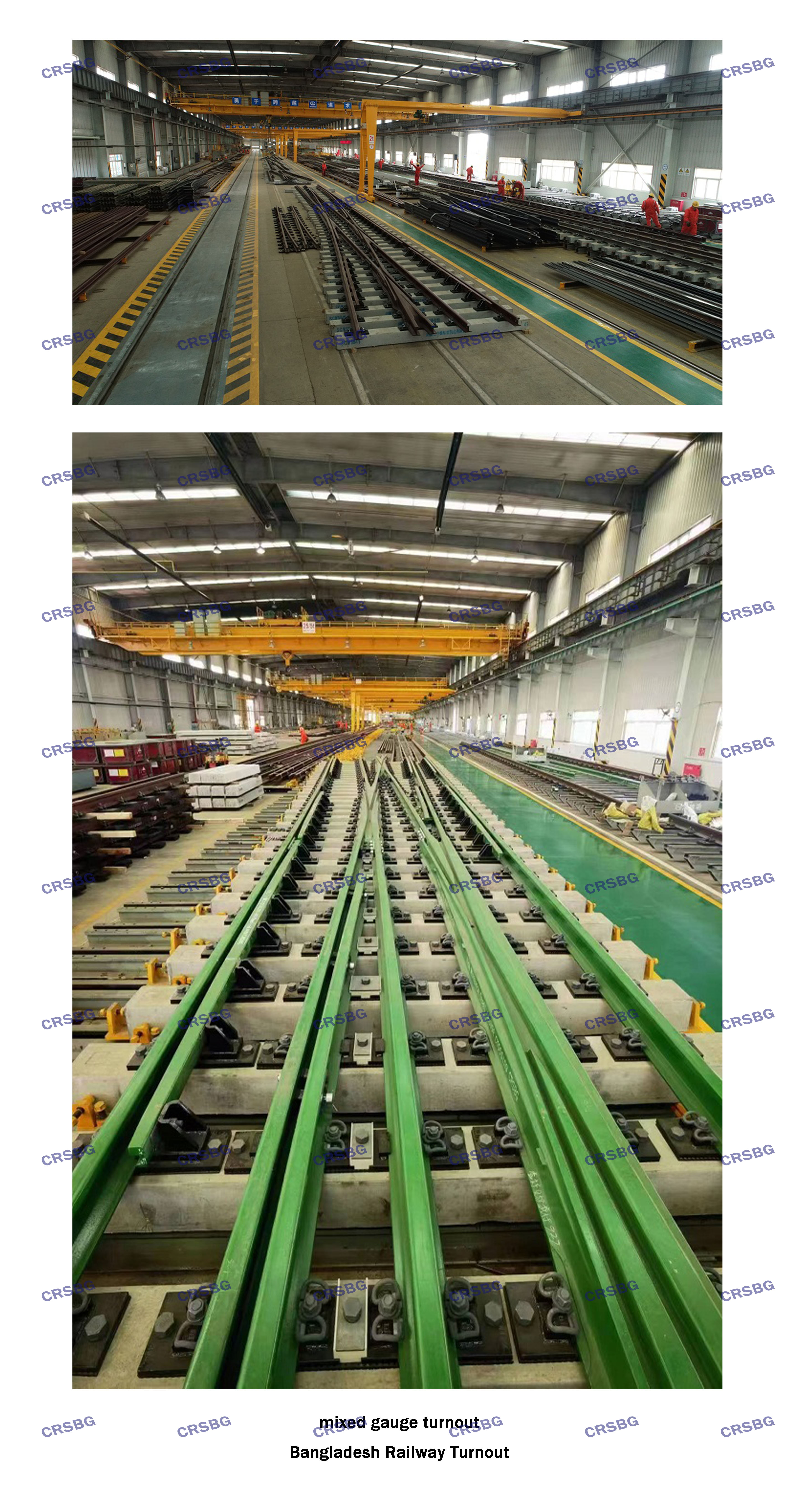 MIXED GAUGE TURNOUT（CRSBG水?。?jpg